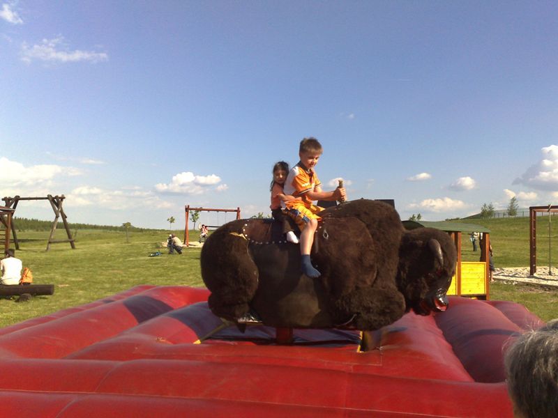 Rodeo show - elektrický bizon
